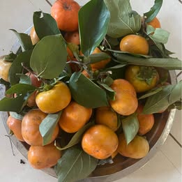 'Fuyu' Persimmon