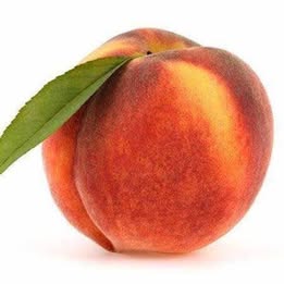 'Harvester' Peach
