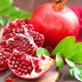 'Afganski' Pomegranate