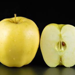 'Golden Delicious' Apple