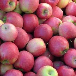 'Pink Lady' Apple