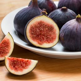 'Chicago Hardy' Fig