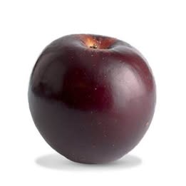 'Arkansas Black' Apple