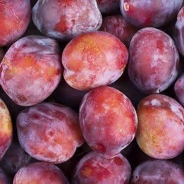 'Burbank' Plum
