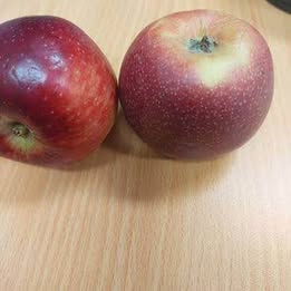'Yates' Apple