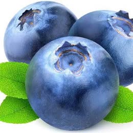 Krewer Blueberry