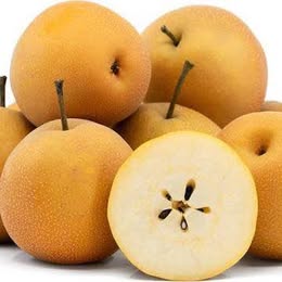 'Shinko' Asian Pear - Grafted