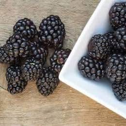 'Natchez' Blackberry
