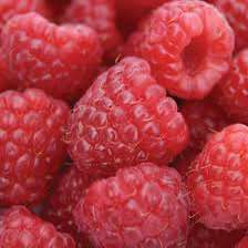 'Heritage' Raspberry