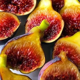 'Fignomenal' Fig