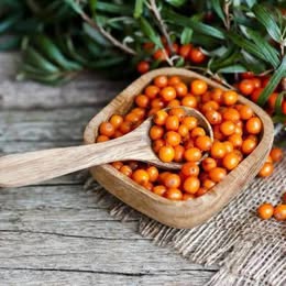 'Radiant' Sea Buckthorn Berry