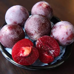 'Flavor King' Plumcot - Grafted