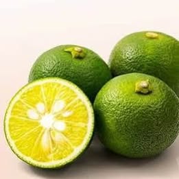 'Sudachi' Lime - Grafted