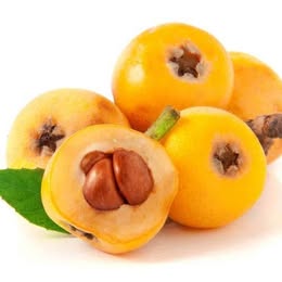 Golden Nugget Loquat