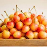 'Rainer' Cherry - Grafted