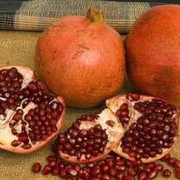 Kashmiri Pomegranate Tree