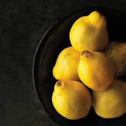 Van Deman Quince Tree - Grafted
