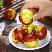 Honey Jar Jujube Tree – 10 Gallon Pot (Grafted)