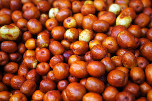 Sugarcane Jujube Tree - 10 Gallon Pot (Grafted)