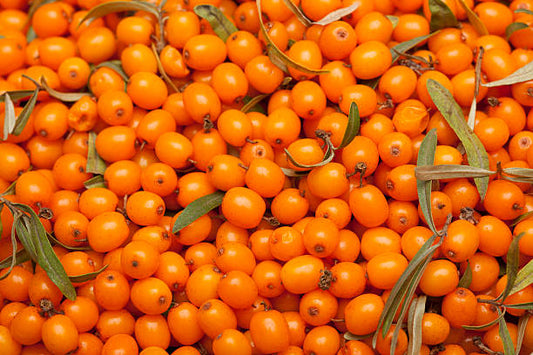 Orange Energy' Sea Buckthorn Berry
