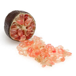 Red Finger Lime - Grafted